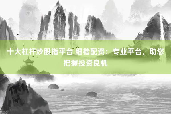 十大杠杆炒股指平台 细楷配资：专业平台，助您把握投资良机
