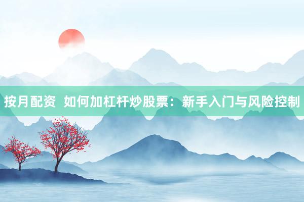 按月配资  如何加杠杆炒股票：新手入门与风险控制