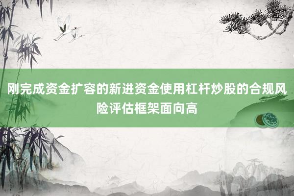 刚完成资金扩容的新进资金使用杠杆炒股的合规风险评估框架面向高