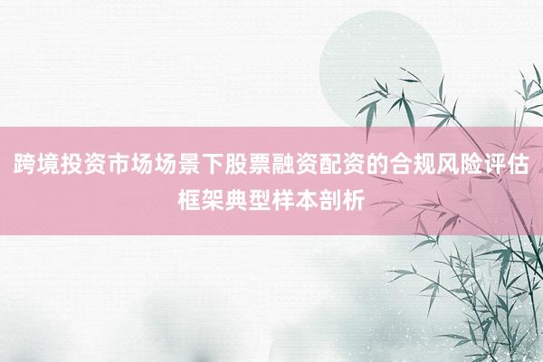 跨境投资市场场景下股票融资配资的合规风险评估框架典型样本剖析