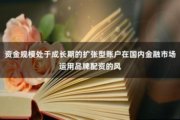 资金规模处于成长期的扩张型账户在国内金融市场运用品牌配资的风