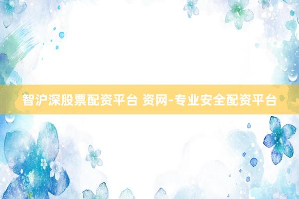 智沪深股票配资平台 资网-专业安全配资平台