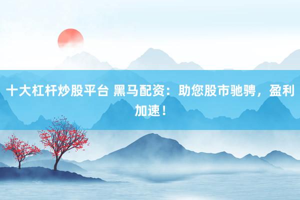 十大杠杆炒股平台 黑马配资：助您股市驰骋，盈利加速！